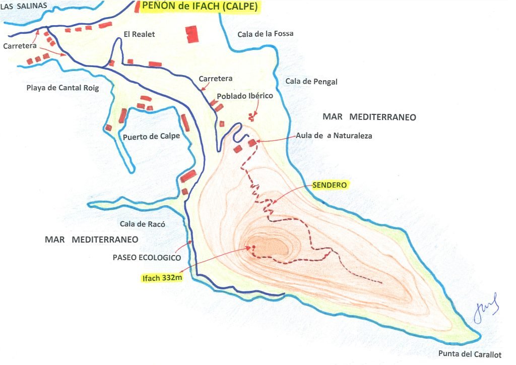 21 plaNo