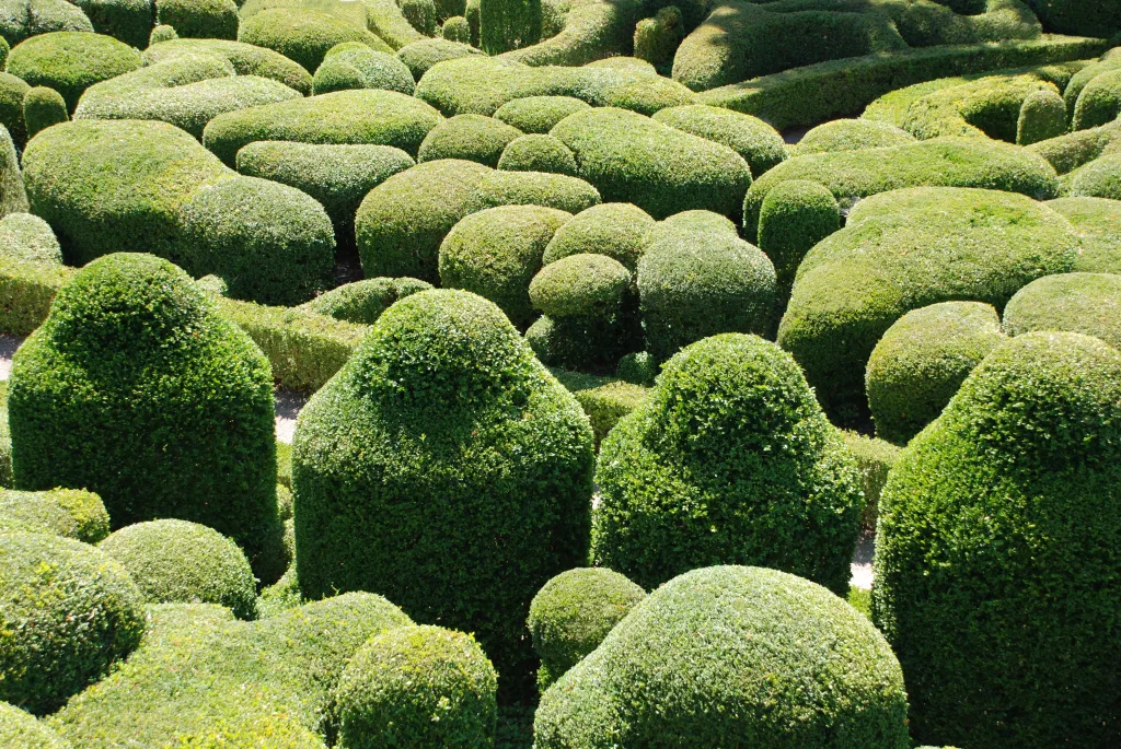 14 Gageat-Casyelnaud-Marqueyssac-Francia