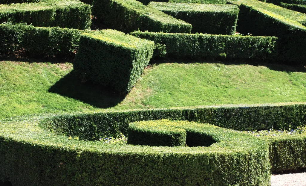 18 Gageac-castelnaud-Marqueyssac-Francia