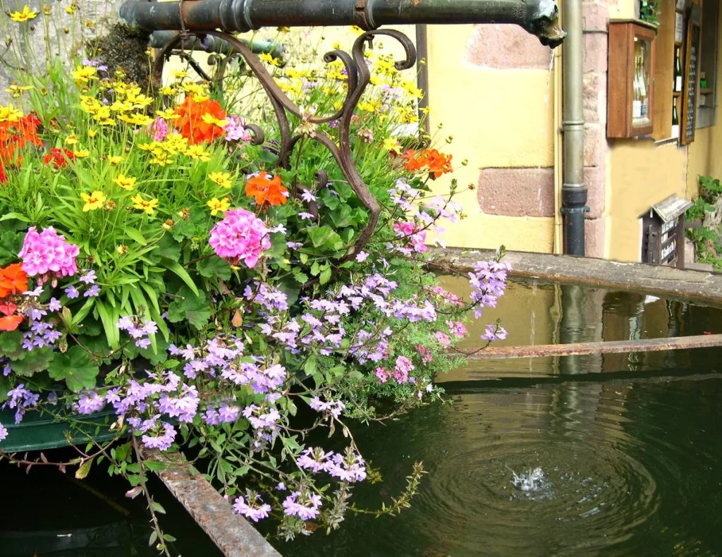 21 Fuente-Riquewihr-Alsacia-Francia