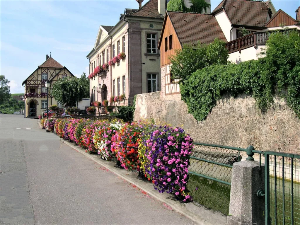 7 Riquewihr-Alsacia-Francia628Riquewirh-Alsacia(13Ago)