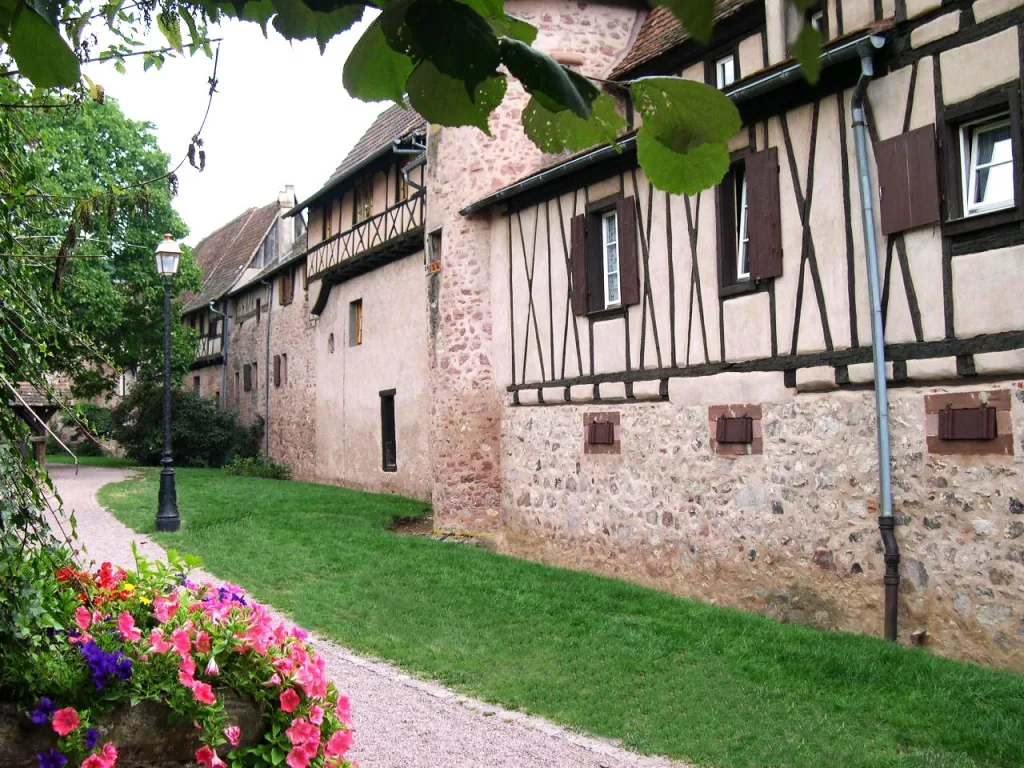 8 Riquewihr-Alsacia-Francia