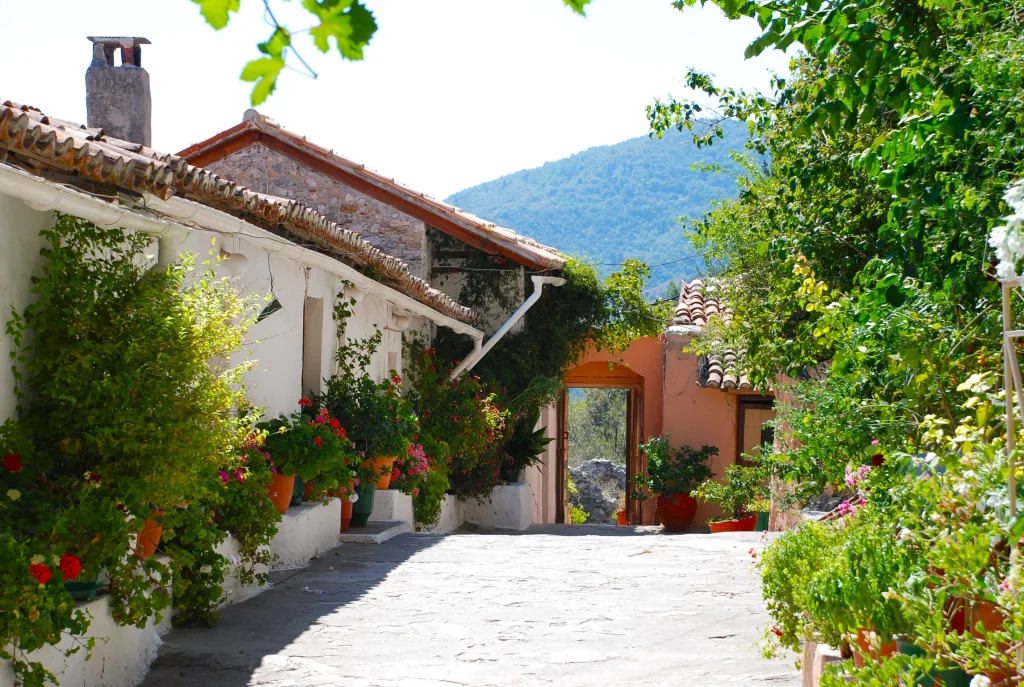 8A Pantanassa-Mistras-Grecia