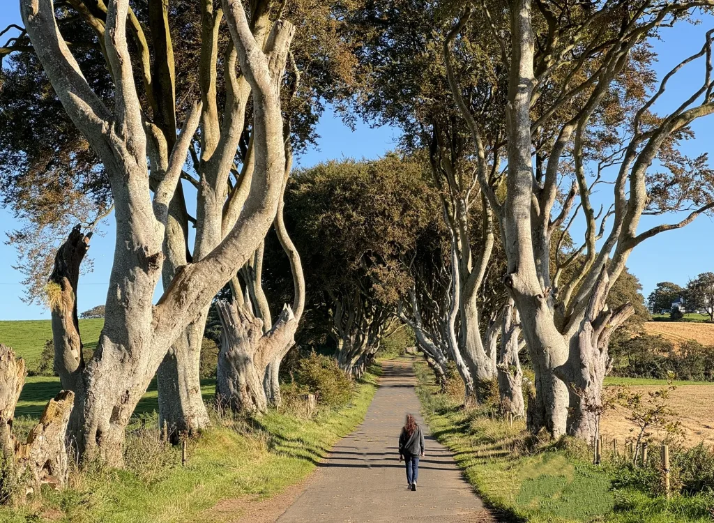 0A Dark Hedges-Irlanda del Norte-Reino Unido