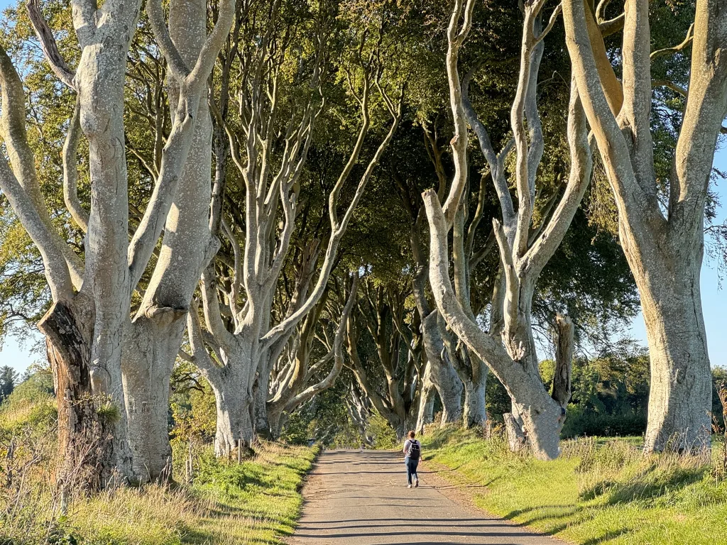 10 Dark Hedges-Irlanda Norte-Reino Unido