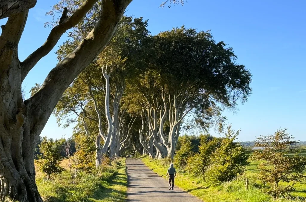 5 Dark Hedges-Irlanda Norte-Reini Unido