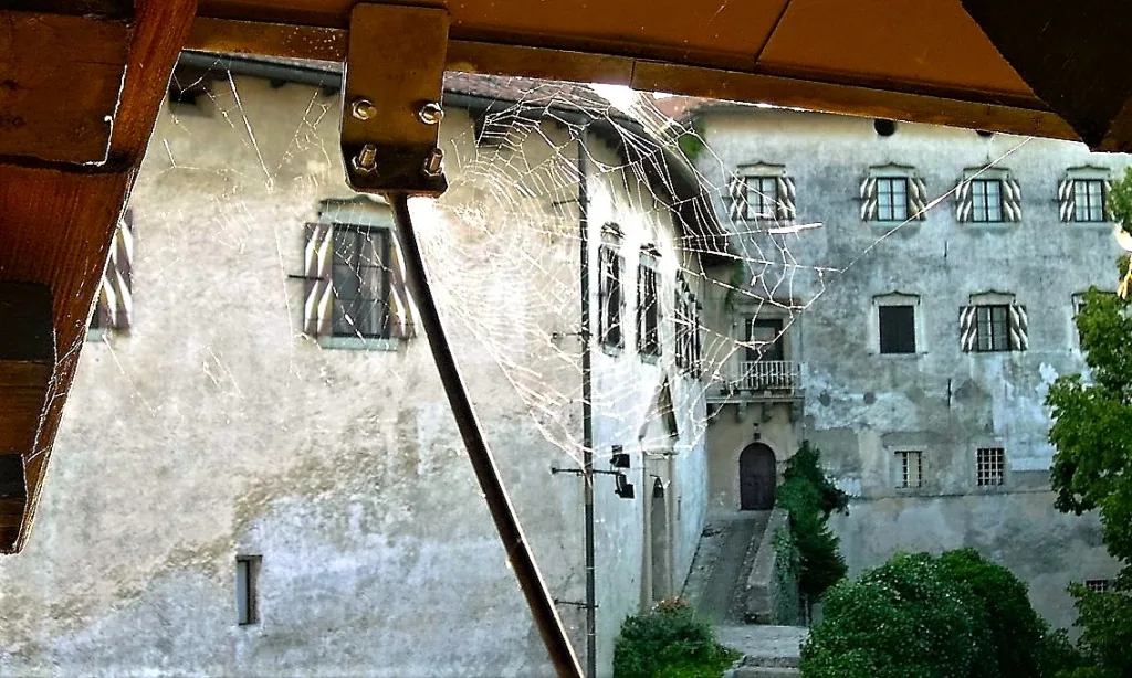 15 Castiullo Bled-eslovenia