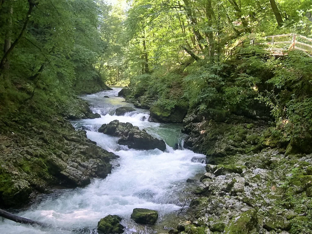 17 Vintglar-Bled-Eslovenia