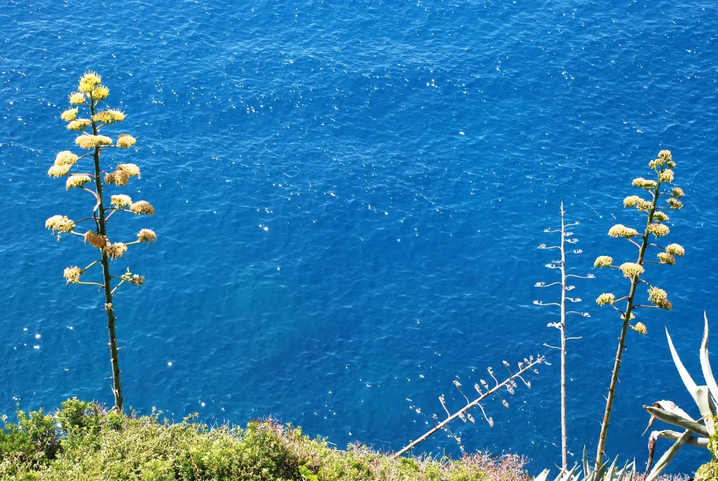 23 Portovenere-5Terre-Italia