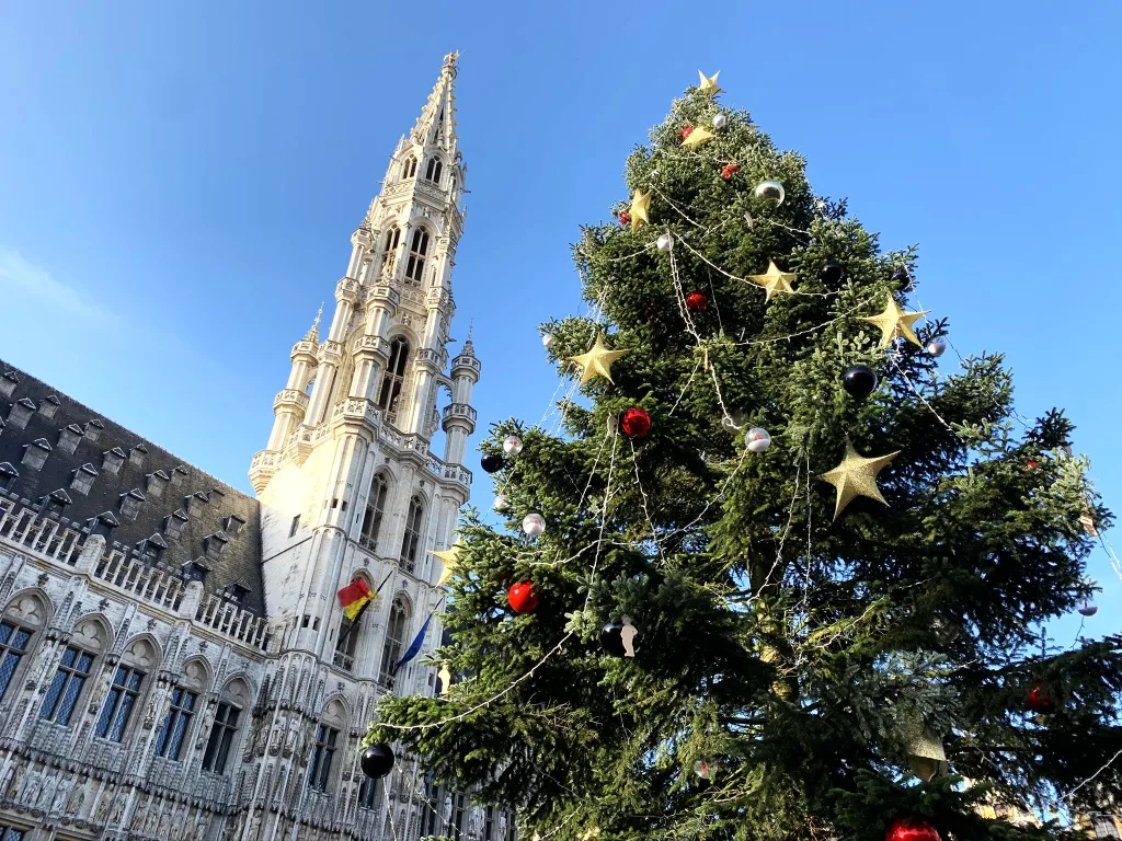 3 Gran Place-Bruselas-Bélgica (2)