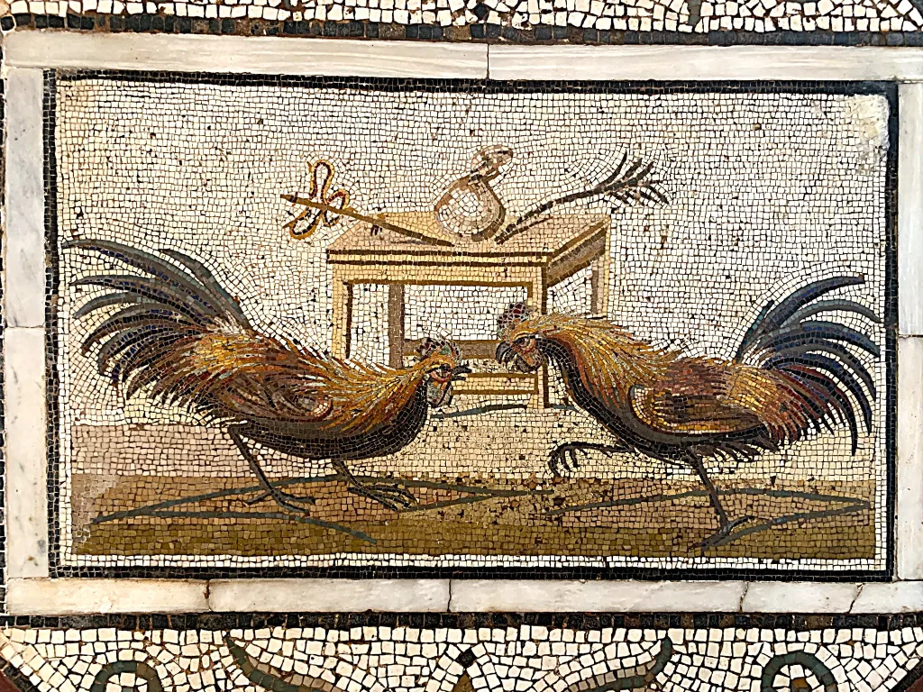 12 Pelea gallos-Arqueológico-Nápoles-Italia