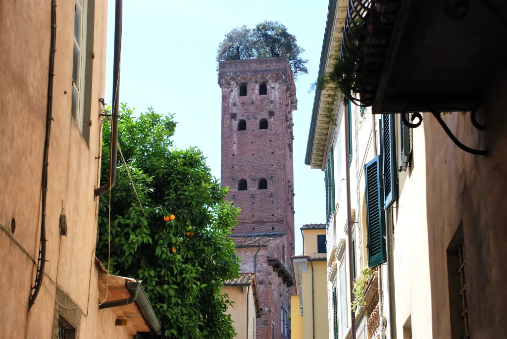 10 Torre Guinigi-Lucca-Italia
