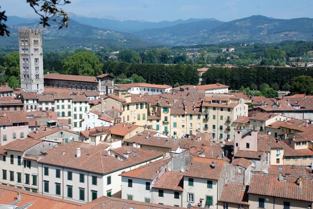 12 Torre Guinigi-Lucca-Italia
