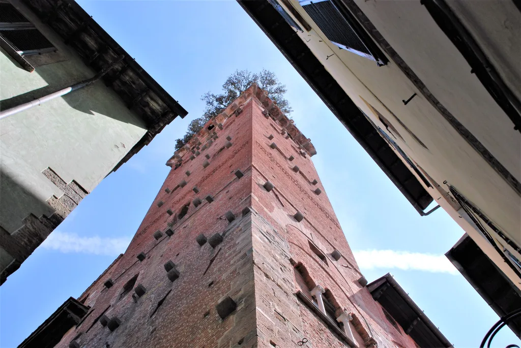 15 Torre Guinigi-Lucca-Italia
