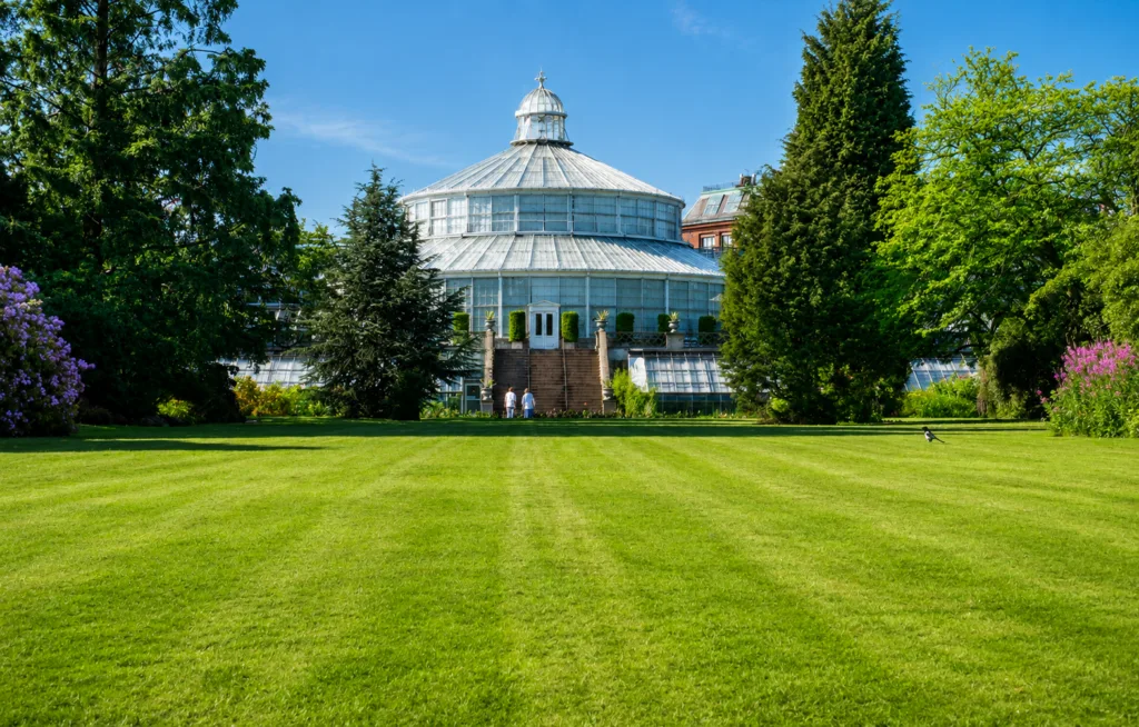 15 Palmeral-Botánico-Copenhague-Dinamarca