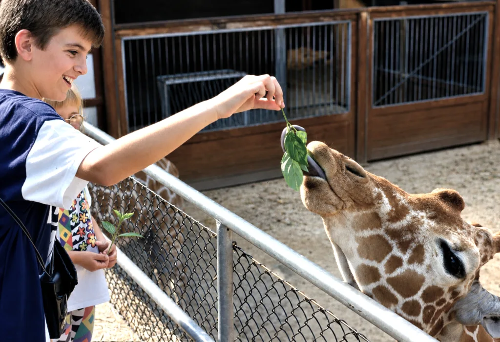 19 Zoo-Copenhague-Dinamarca