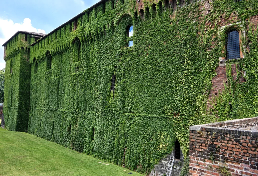 21 Castillo Sforza-Milán-Italia