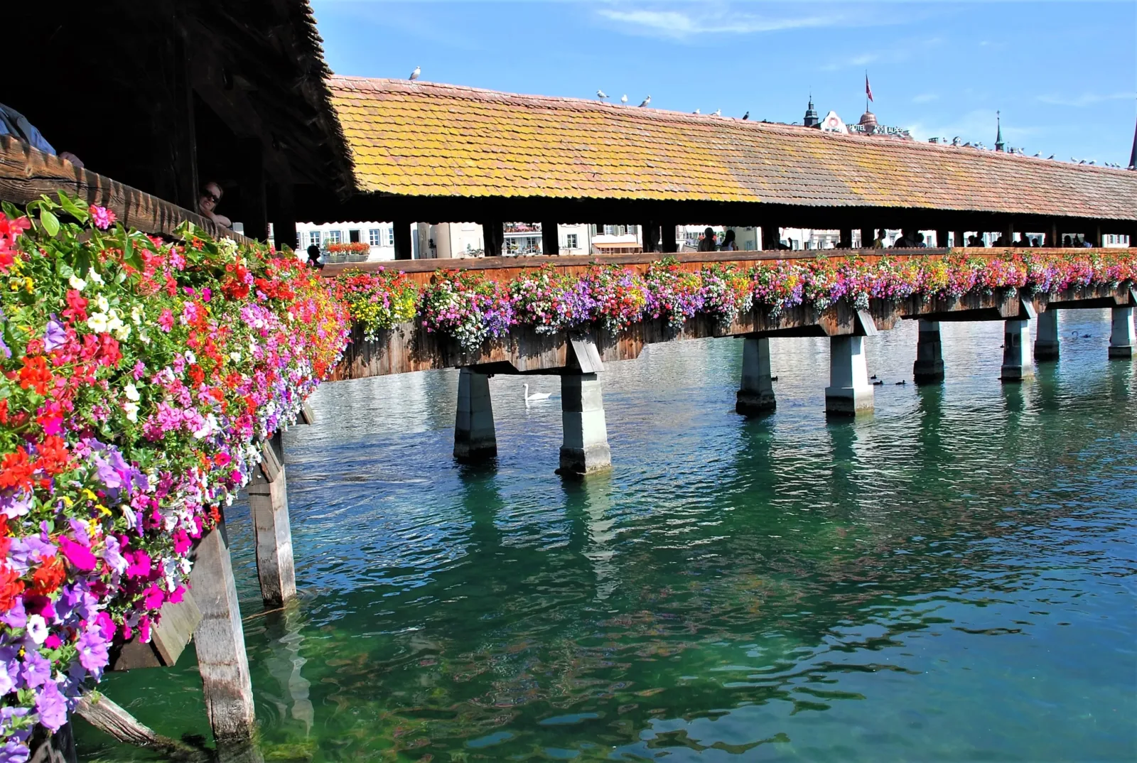 0 Puente-Lucerna-Suiza