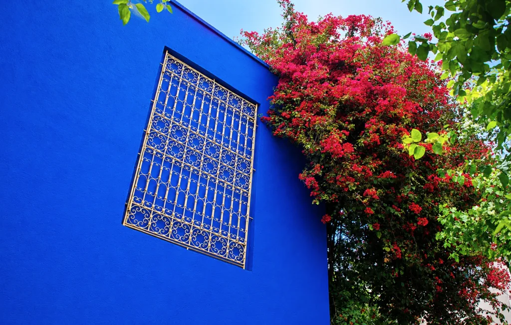 01 Jardín Majorelle-Marrakech-Marruecos