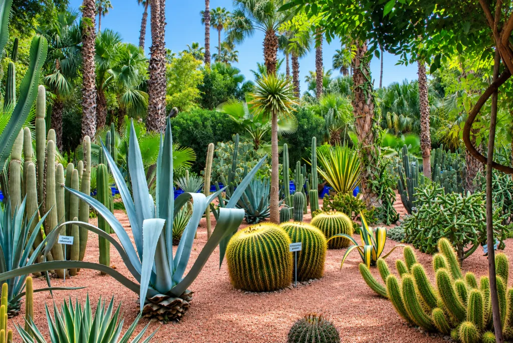 1 Jardín Majorelle-Marrakech-Marruecos
