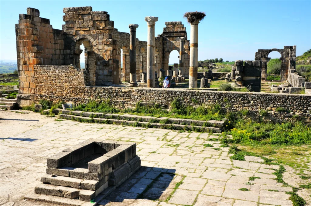 10 Foro-Volúbilis-Marruecos
