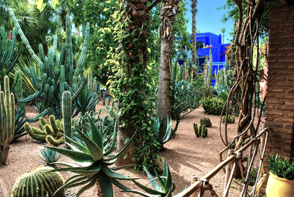 10 jardín Majorelle-Marrakech-Marruecos