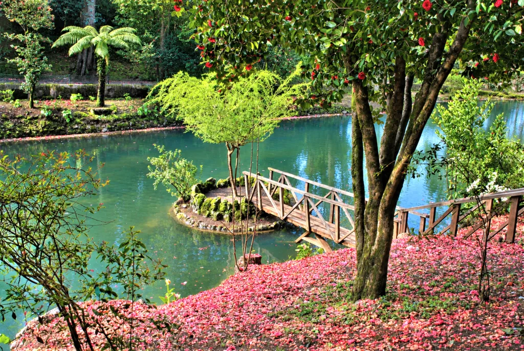 11-lago-Buçaco-Portugal