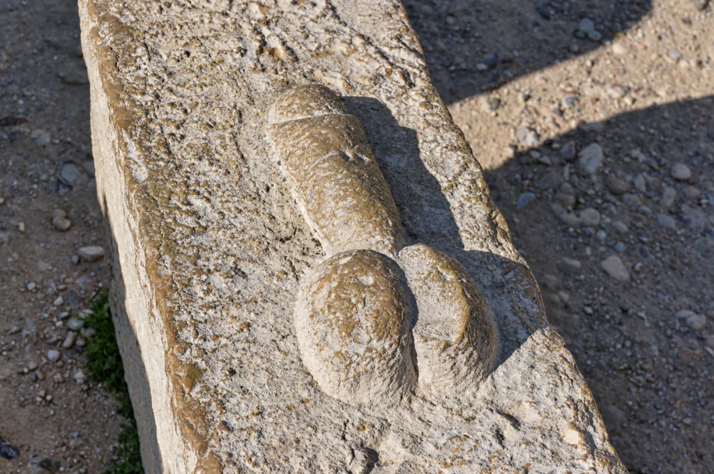 11A Volubilis-marruecos