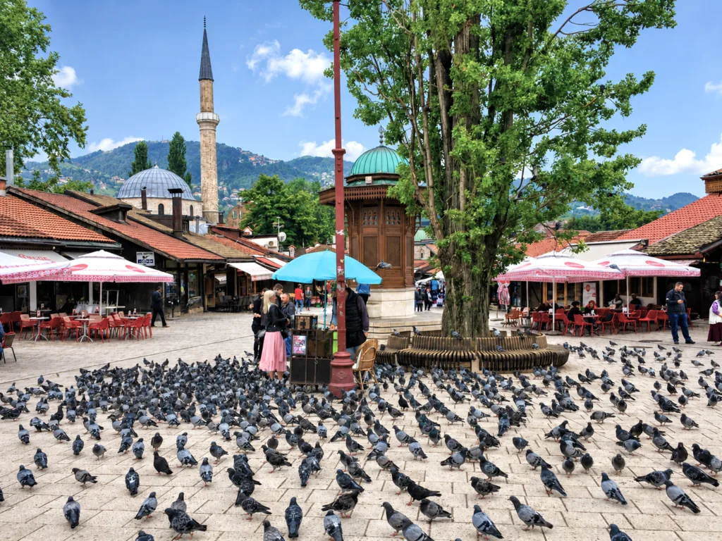 12 Plaza Barcassija-Satrajevo-Bosnia&Herzegovina