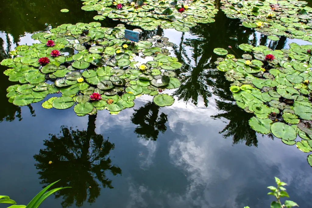 14 Jardín Majorelle-Marrakech-Marruecos