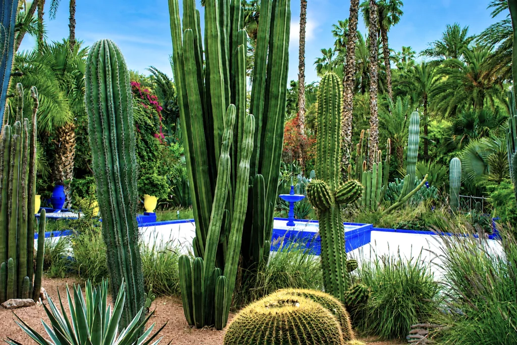 15 Jardín Majorelle-Marrakech-Marruecos