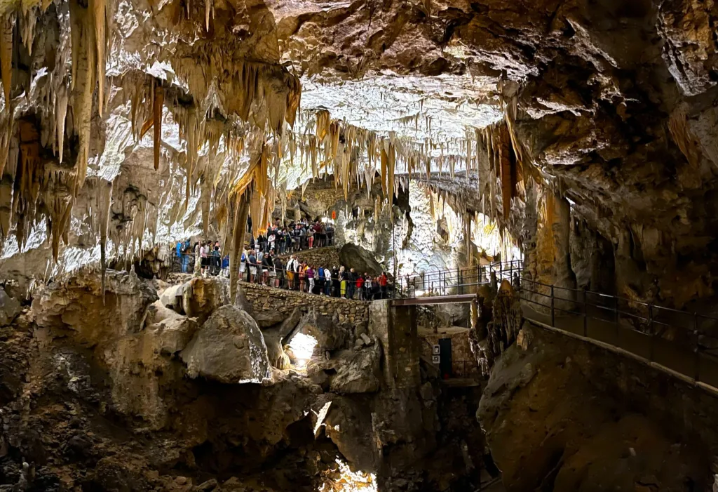 16 Cueva de Postojna-Eslovenia