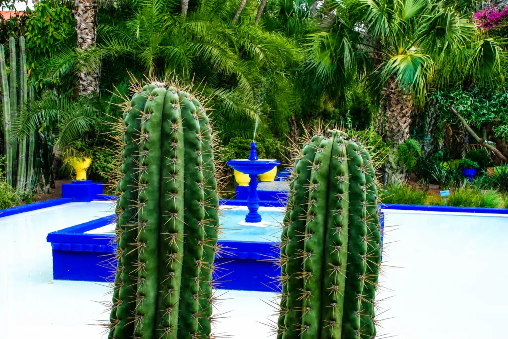 16 Jardín Majorelle-Marrakech-Marruecos