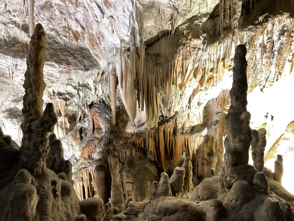 17 Cueva de Postojna-Eslovenia