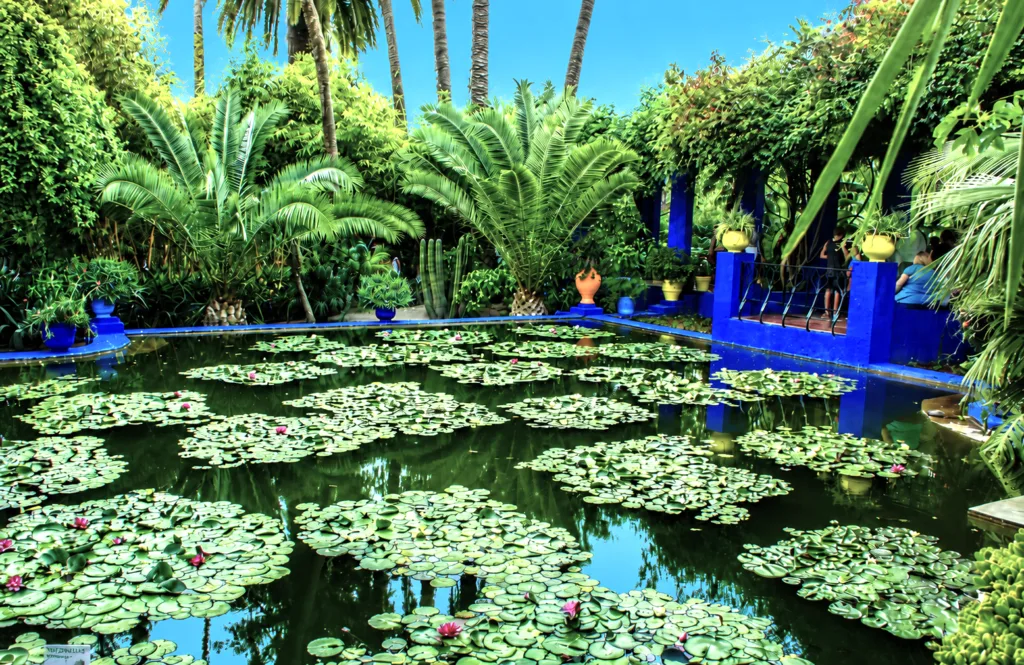 17 Jardín M ajorelle-Marrakech-Marruecos