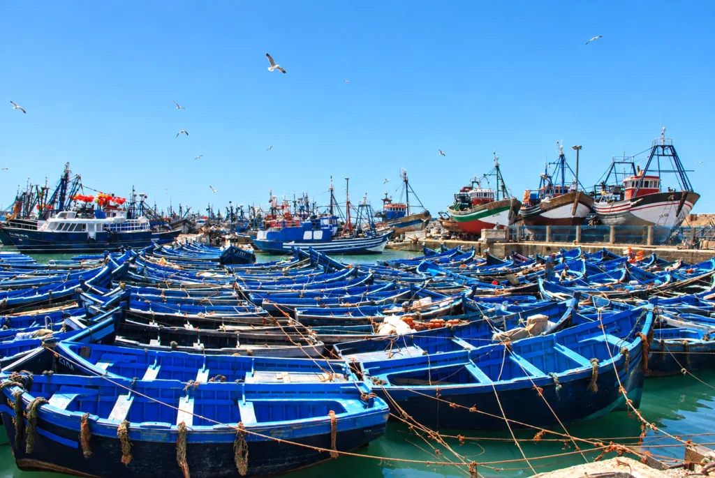 19Essaouira-Marruecos (2)