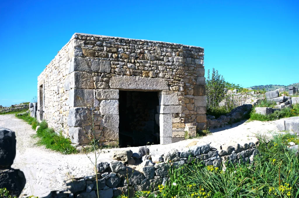 29 Prensa-Volubilis-Marruecos