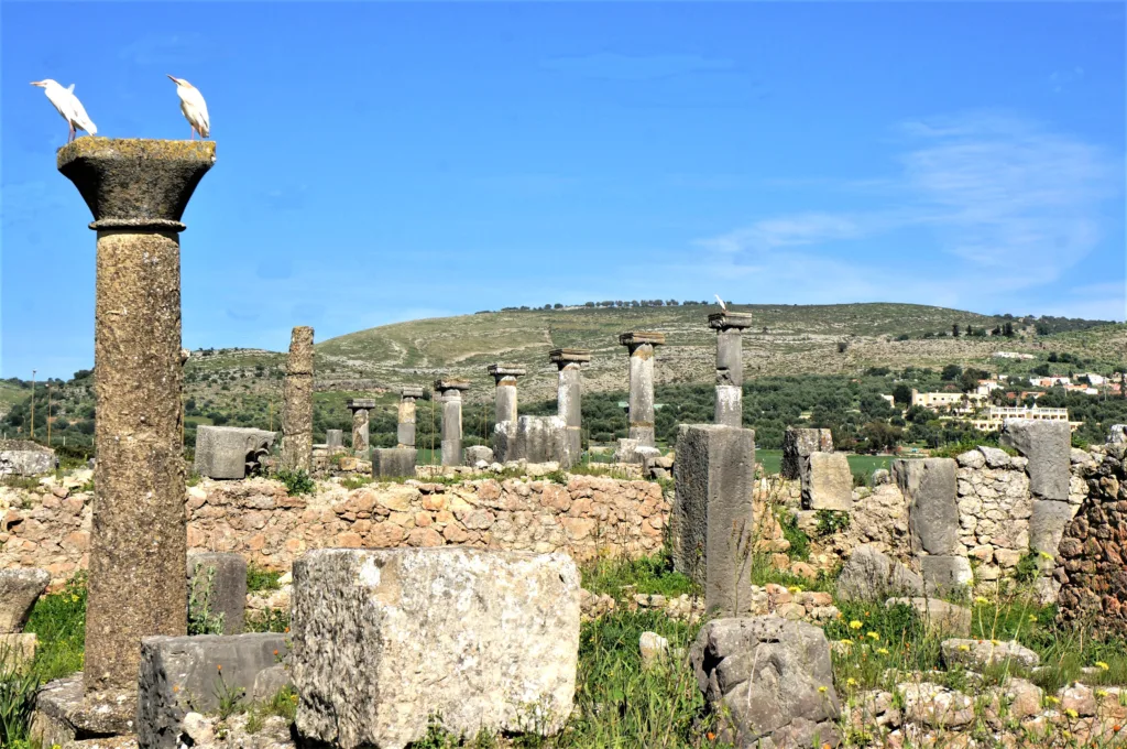 3 Volubilis-Marruecos
