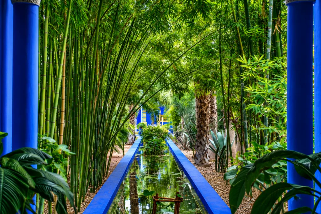 3 Jardín Majorelle-Marrakech-Marruecos