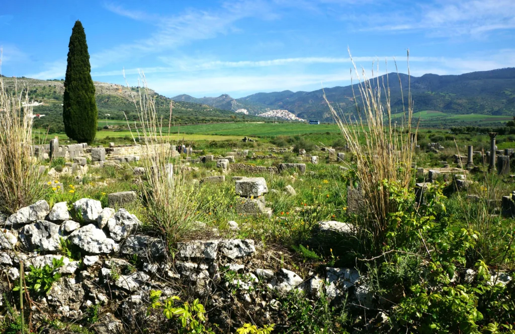 4 3 Volubilis-Marruecossolubilis-