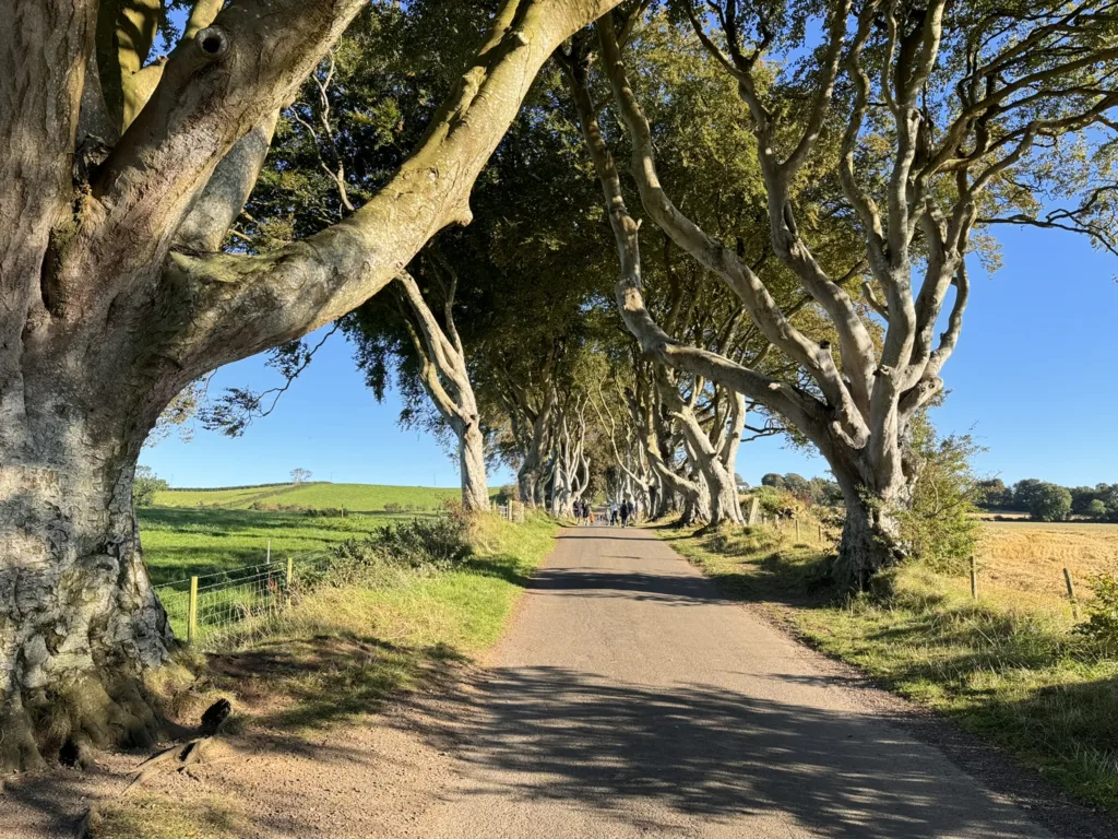 4 Dark Hedges-Irlanda Norte-Reino Unido