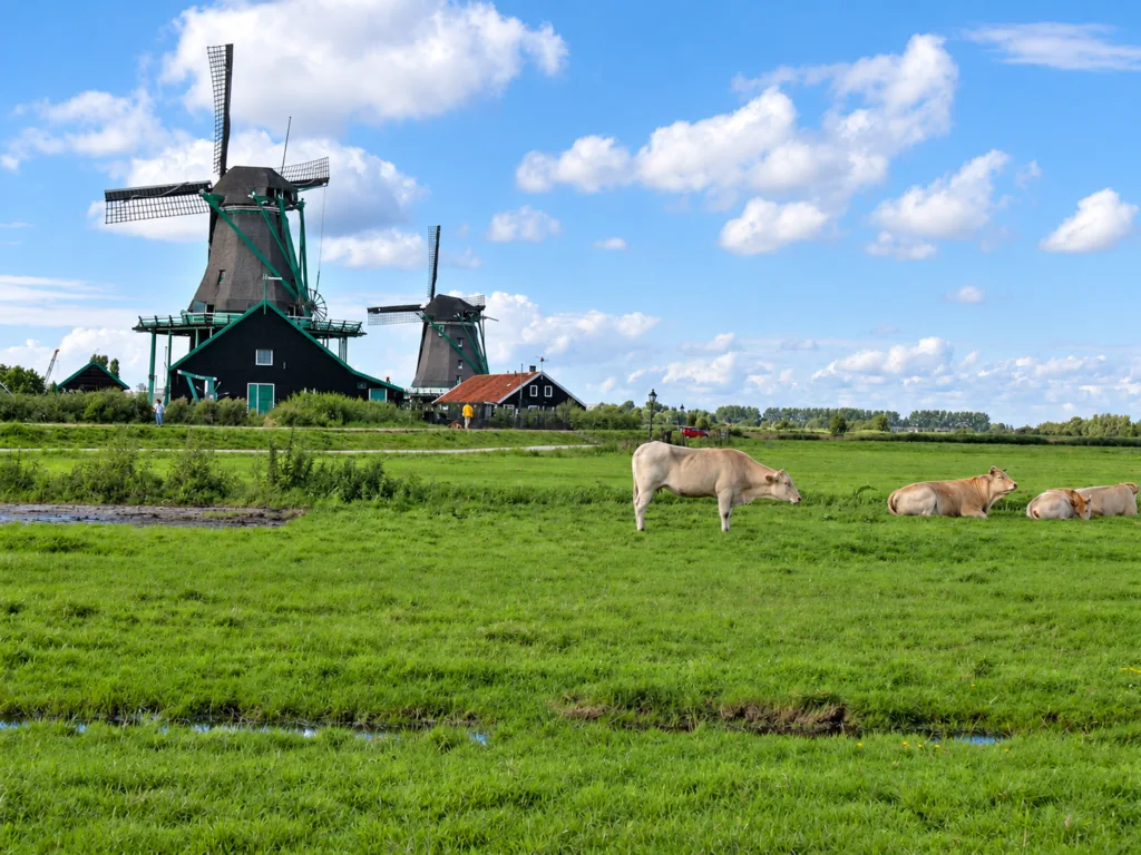 4 Molinos de Zaanbse Schans-Países Bajos