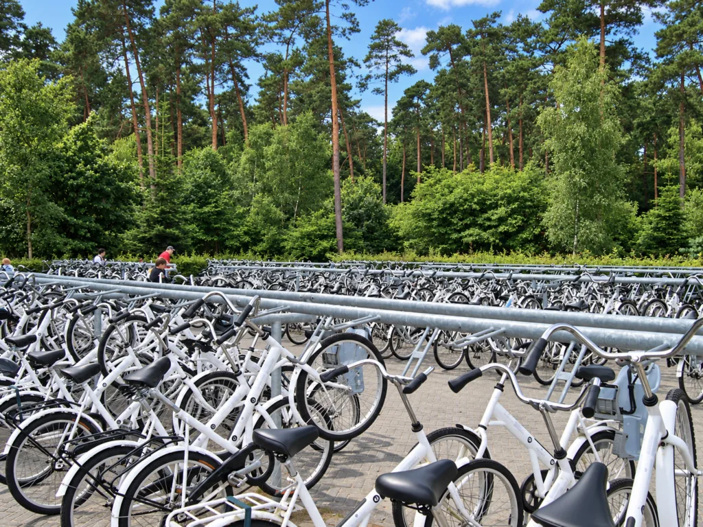 4 National Park Hoge Veluwe-Países Bajos