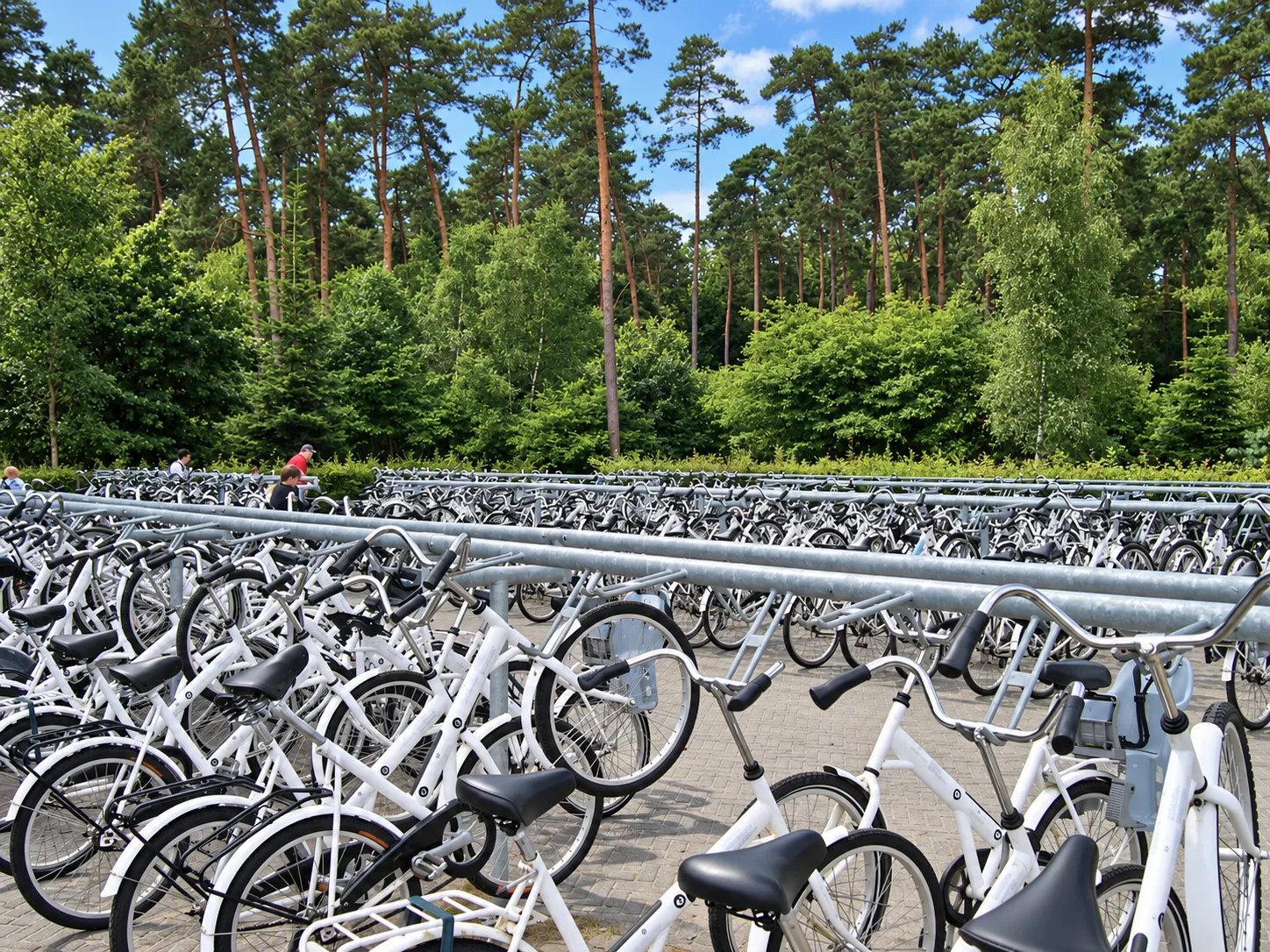 4 National Park Hoge Veluwe-Países Bajos