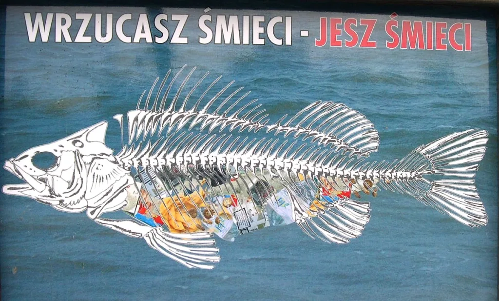 4 Península de Hel-Gdansk-Polonia