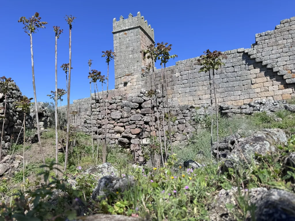 6 Ciuidadela-Marialva-Aldeas-Portugal