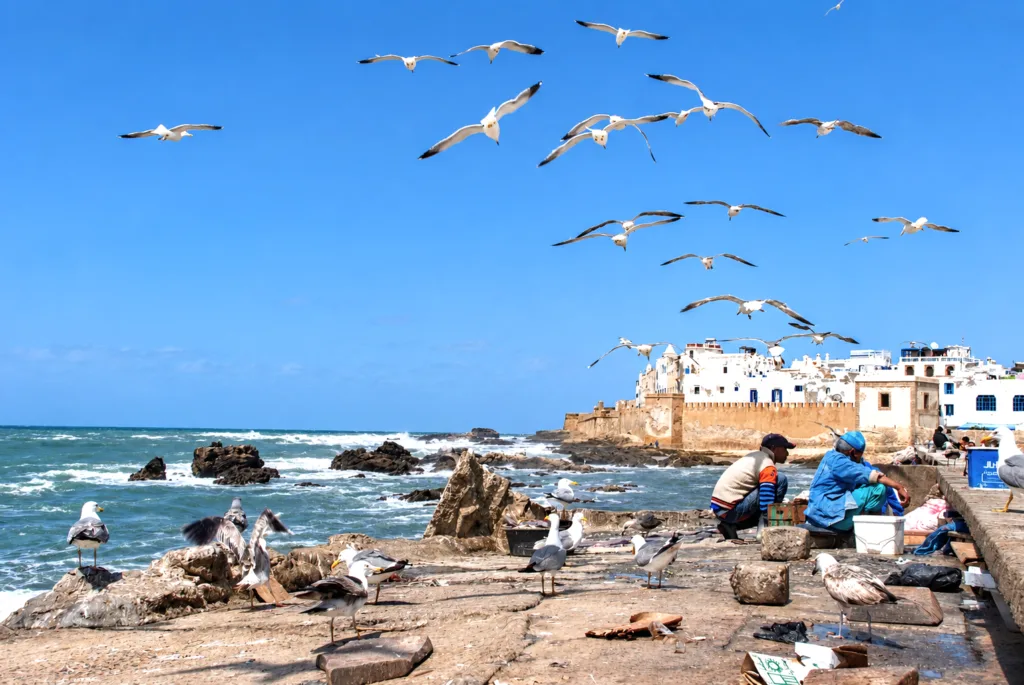 6 Essaouira-Marruecos