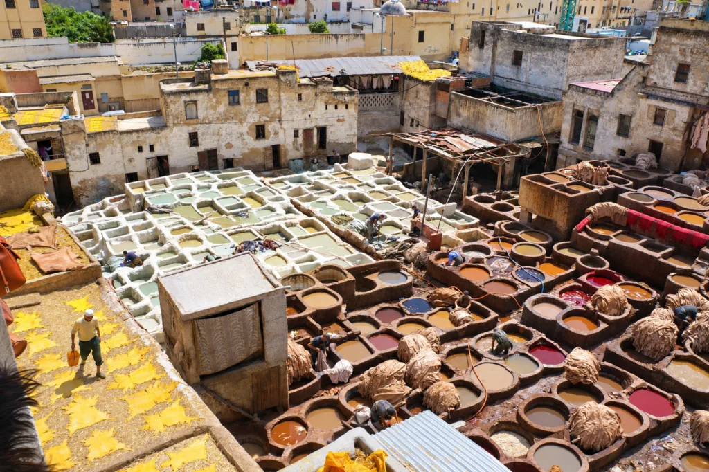 7 Curtiduría Chouwara-Fez-Marruecos