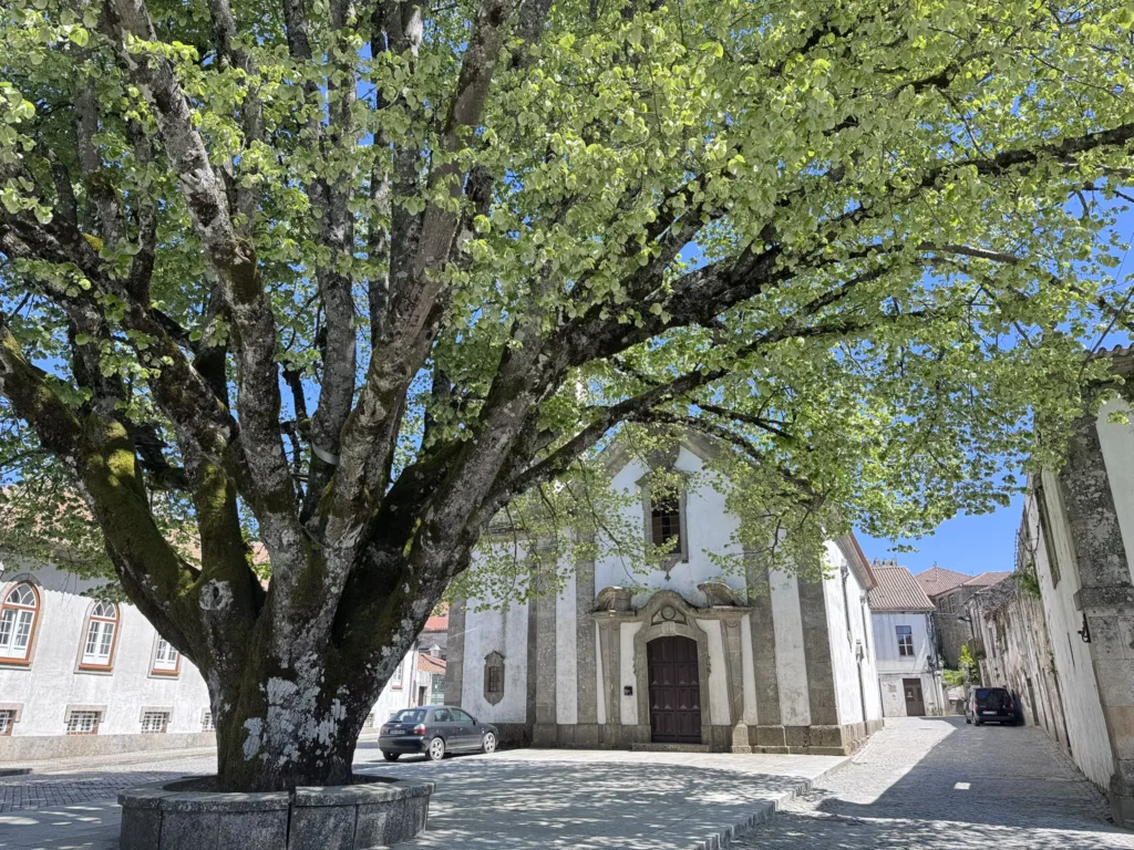 7 S. María-Trancoso-Aldeas-Portugal
