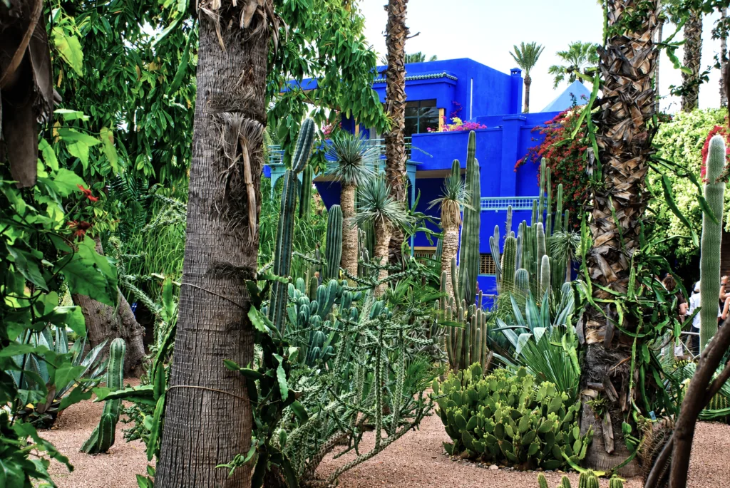 8 Jardín Majorelle-Marrakech-Marruecos